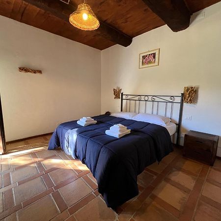 B&B Podere Legnotorto Кастел дел Пиано Екстериор снимка