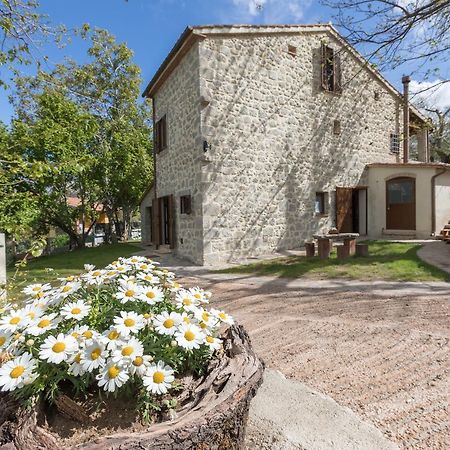 B&B Podere Legnotorto Кастел дел Пиано Екстериор снимка