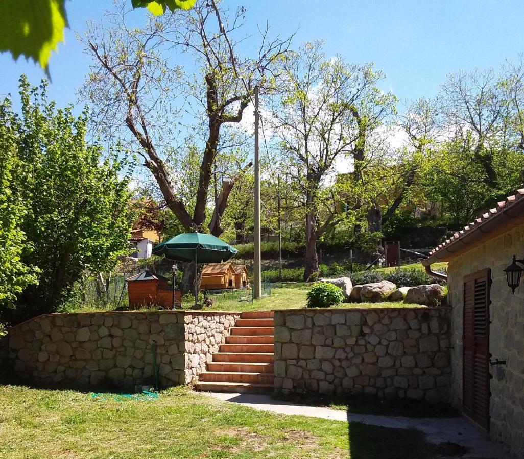 B&B Podere Legnotorto Кастел дел Пиано Екстериор снимка
