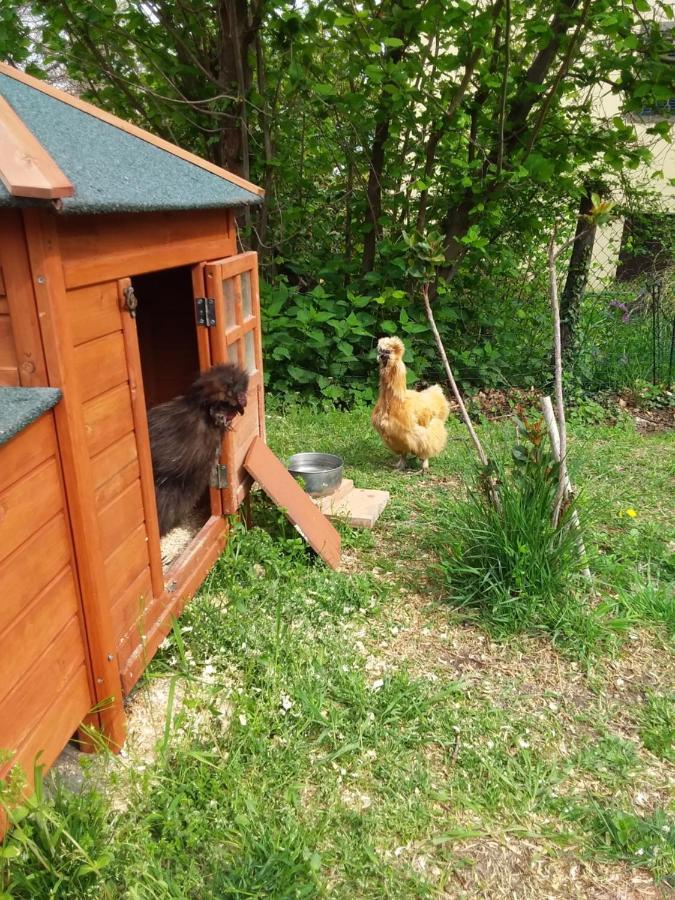 B&B Podere Legnotorto Кастел дел Пиано Екстериор снимка