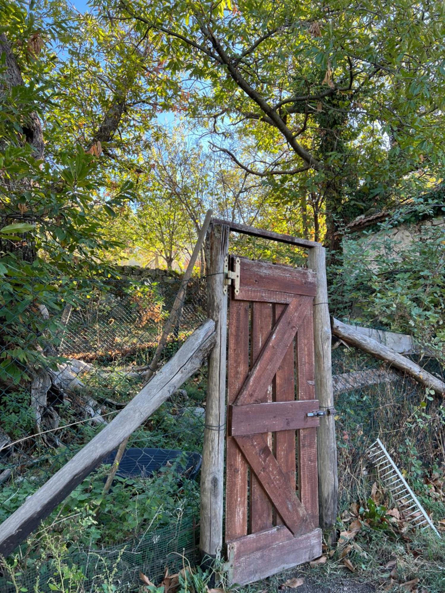 B&B Podere Legnotorto Кастел дел Пиано Екстериор снимка