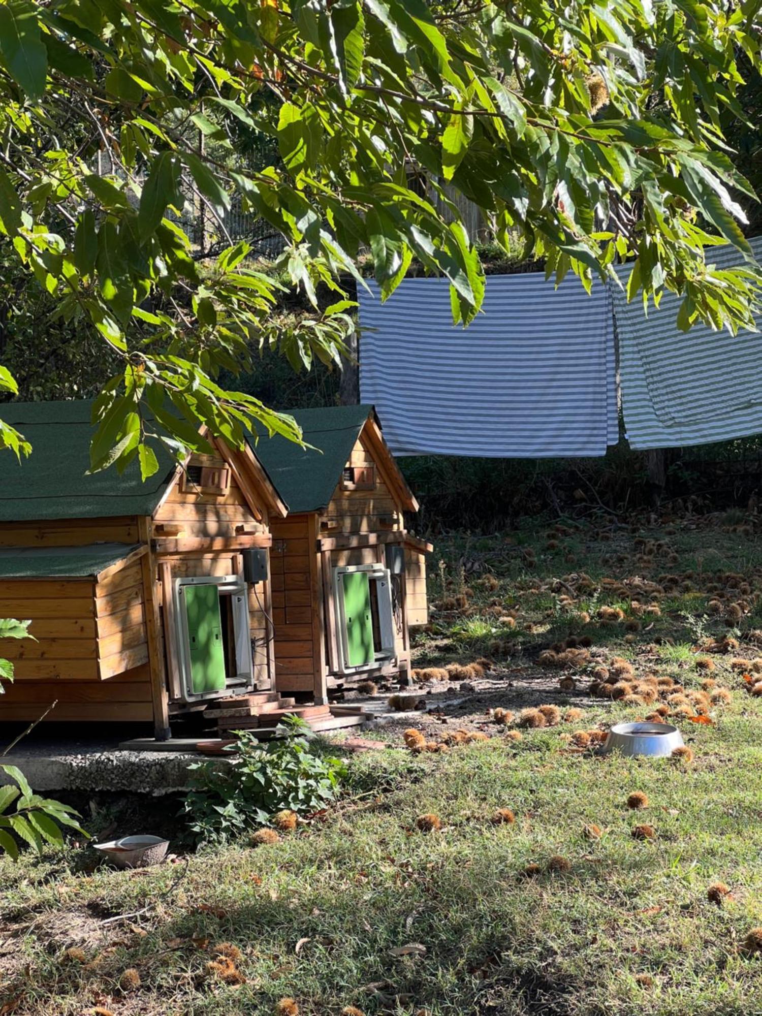 B&B Podere Legnotorto Кастел дел Пиано Екстериор снимка