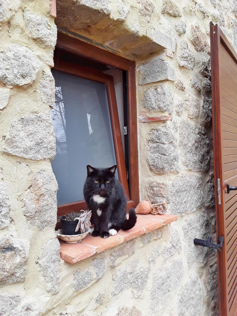 B&B Podere Legnotorto Кастел дел Пиано Екстериор снимка